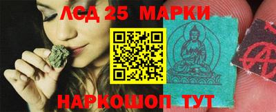 гидропоника Заволжье