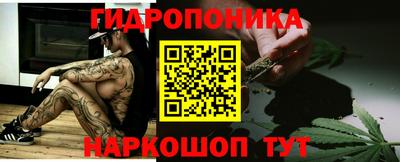 a pvp Заводоуковск