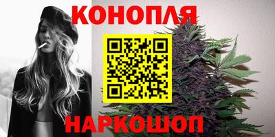 a pvp Заводоуковск