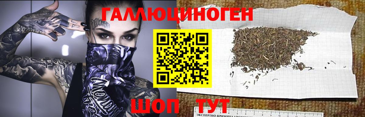 Миллерово  Псилоцибиновые грибы GOLDEN TEACHER  Вход с VPN 